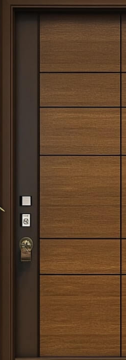 Wooden Door 6